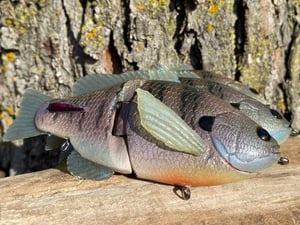 Image of  Ann Deluxe Xslowsink (Chameleon Gill 2)