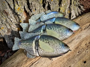 Image of  Ann Deluxe Xslowsink (Black Crappie)