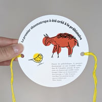 Image of Le thaumatrope, une histoire en deux temps