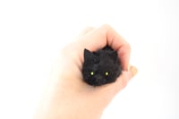 Image 2 of black kitten