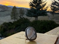 Image 1 of White Buffalo ring 