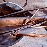 Image 1 of Eucalyptus Bark