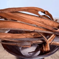 Image 2 of Eucalyptus Bark