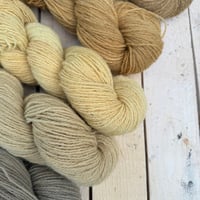 Image 4 of Eucalyptus Bark