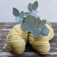 Image 2 of Eucalyptus Leaves 