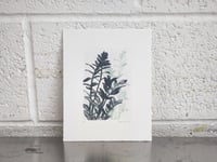 Image 2 of Press * for more options