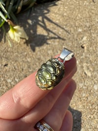 Image 1 of Turtle shell 3