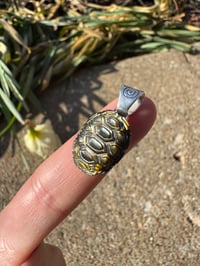 Image 1 of Turtle shell 4