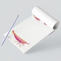 Image 1 of Notizblock Lütt Shrimps