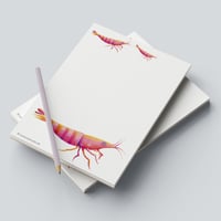 Image 2 of Notizblock Lütt Shrimps