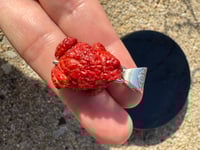 Image 9 of Red coral toad charm 