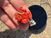 Image 10 of Red coral toad charm 