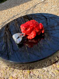 Image 1 of Red coral toad charm 