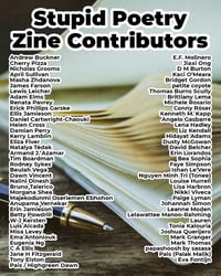 Image 2 of Stupid Poetry Zine