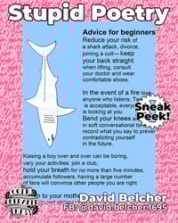 Image 6 of PDF Stupid Poetry Zine