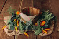Image 1 of Set with carrots
