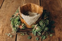 Image 1 of Set with greenery and cactus 