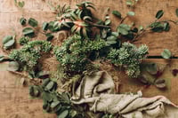 Image 2 of Set with greenery and cactus 