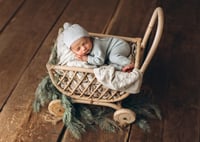 Image 1 of Whimpsy cart