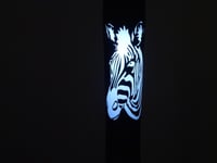 Image 1 of Zebra lighted ink pen