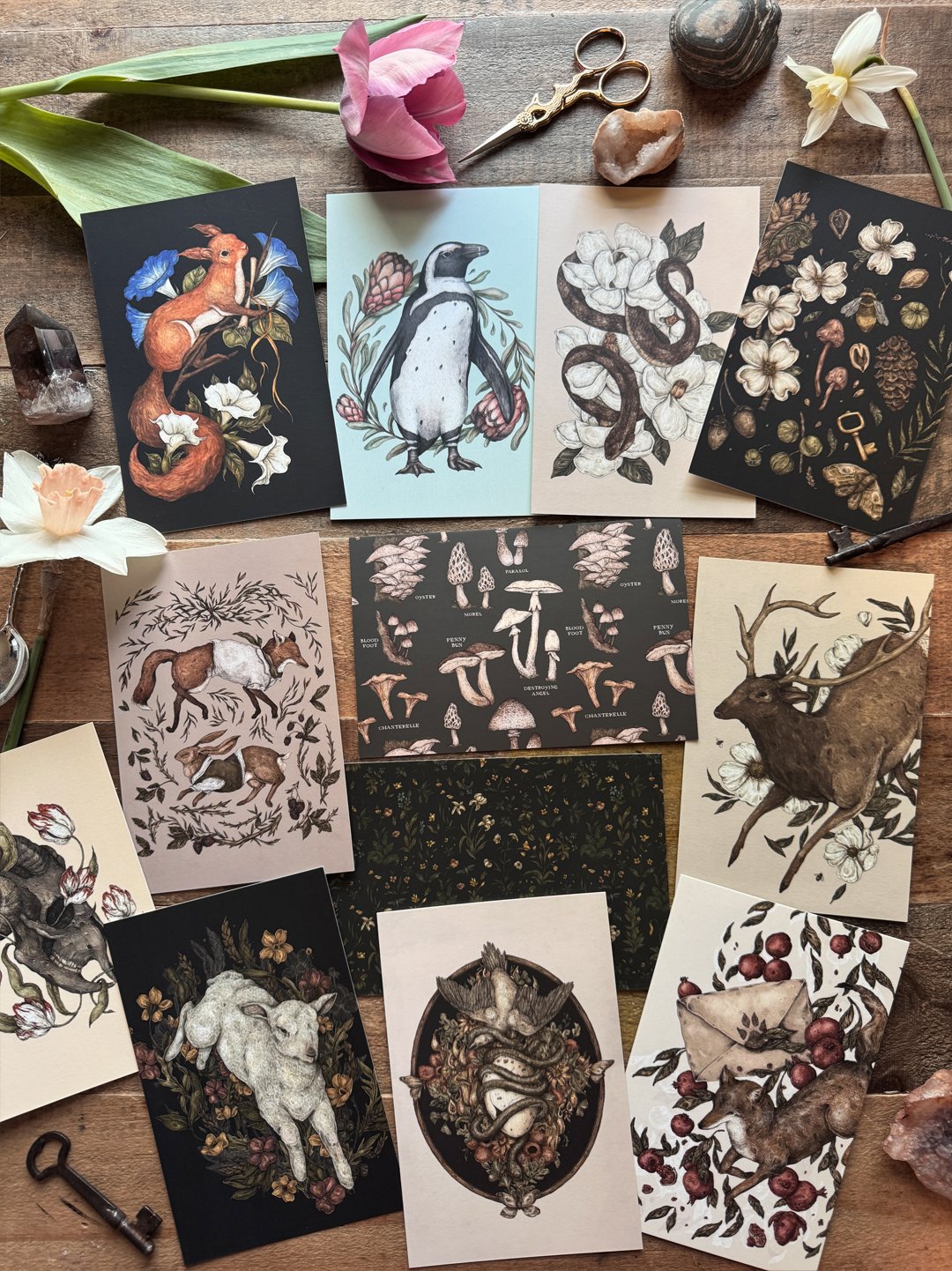 Postcards | Jessica Roux