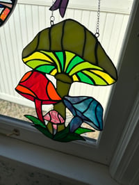 Image 1 of Shrooms-