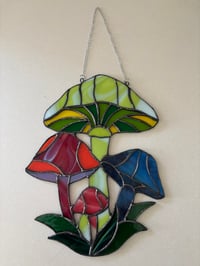 Image 2 of Shrooms-
