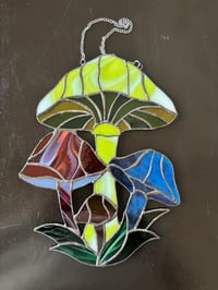 Image 3 of Shrooms-