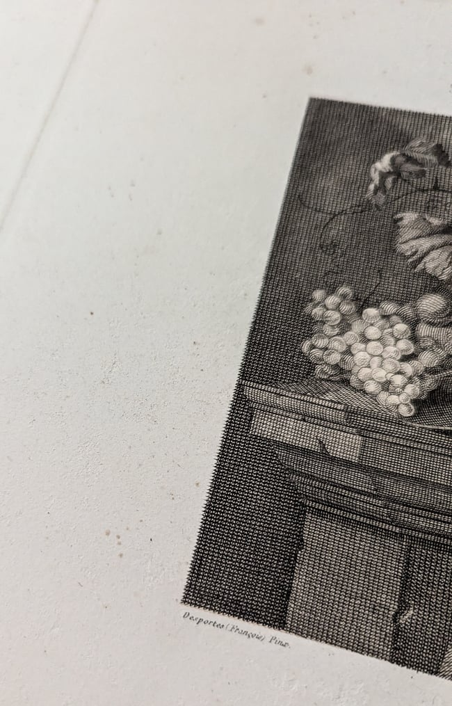 Taille-douce Nature morte 