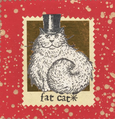 Image of fat cat