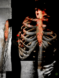 Image 1 of 'Simmering '