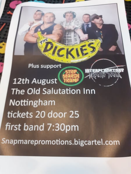 Image of The Dickies 