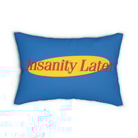 Image 2 of Seinfeld Lumbar Pillow Double Sided Serenity Now Insanity Later Funny TV Gift