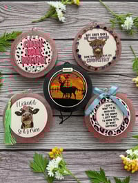 Image 1 of Car Freshies