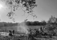 The Sweet Spot Prints