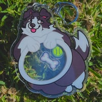 Collie Shaker