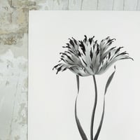 Image 2 of TULIPA VIVIANNE