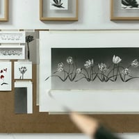 Image 5 of TULIPAE ADAGIO