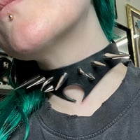 Image 4 of Orb Weaver Collar 