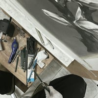 Image 5 of MAGNOLIA GRANDIFLORA