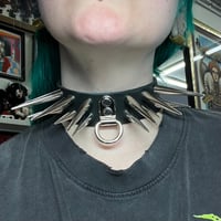 Image 4 of Don't Bother Collar