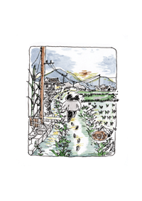 Not Too Early, Not Too Late