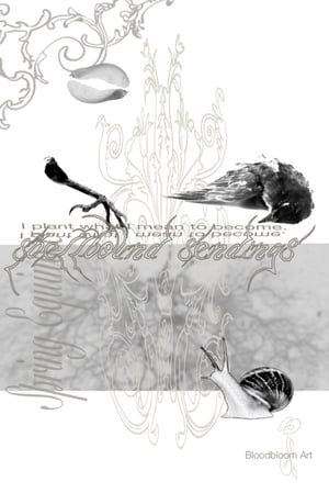 Image of 𝔖𝔭𝔢𝔩𝔩𝔟𝔬𝔲𝔫𝔡 𝔖𝔢𝔫𝔡𝔦𝔫𝔤𝔰