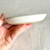 Image 2 of Washing Up Plate