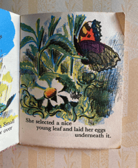 Image 3 of The Butterfly by Trekkie Ritchie