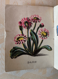 Image 2 of In your garden by Trekkie Ritchie