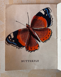 Image 4 of In your garden by Trekkie Ritchie