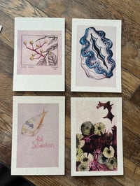 Image 4 of Kilomètre Caillou : pack de 13 prints