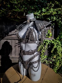 Image 4 of Jurassic Set