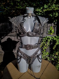 Image 1 of Jurassic Set